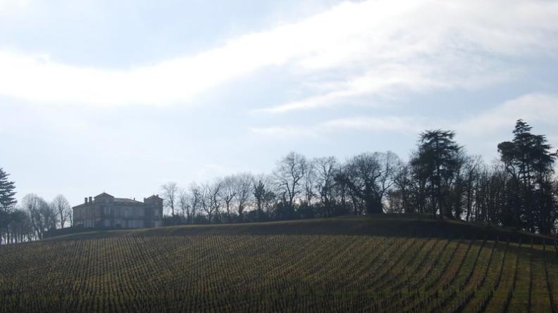 Château Pardaillan et ses allées plantées sur talus - Cars