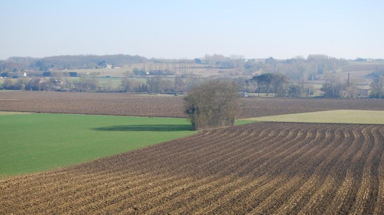Dans la vallée du Dropt, les cultures s'étendent aujourd'hui jusqu'aux berges de la rivière : il n'y a plus de prairies pour jouer le rôle de filtre naturel pour les eaux de ruissellement.