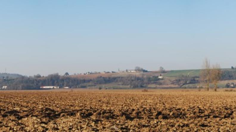 Les monocultures (ici, de maïs) simplifient les paysages à l'extrême : dans ce fond de vallée de Garonne, prairies et structures paysagères ont disparu.