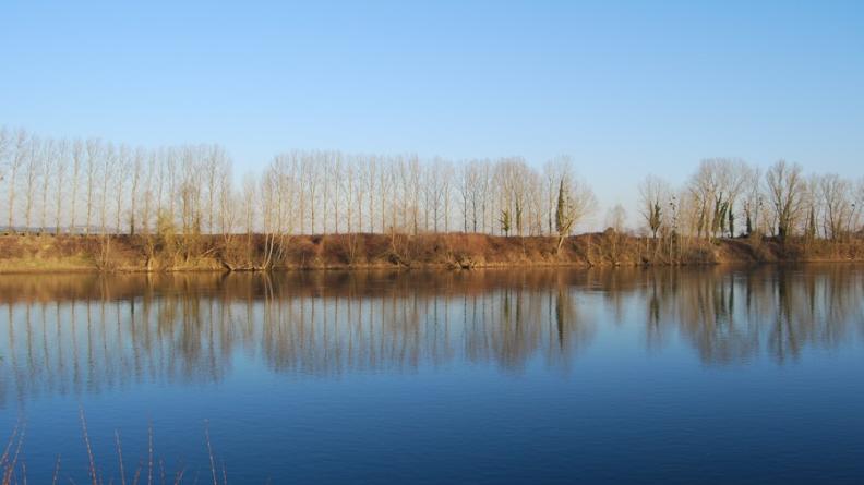 Autrefois longées de plages de graves qui descendaient vers le fleuve en douceur, les berges de la Garonne sont aujourd'hui très abruptes : d'importantes extractions effectuées jusqu'aux années 1980 dans le lit même du fleuve ont profondément transformé sa morphologie. L'absence de lieux d'échanges entre la terre et l'eau limite fortement la richesse des milieux naturels.
