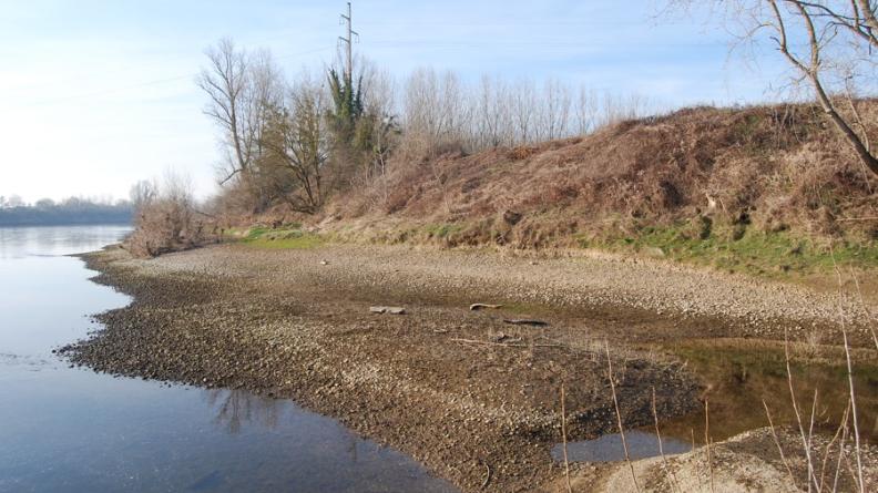 De petites plages de graves se reconstituent difficilement du côté convexe du méandre : les barrages en amont limitent l'apport en matériaux sédimentaires nécessaire à cette dynamique.