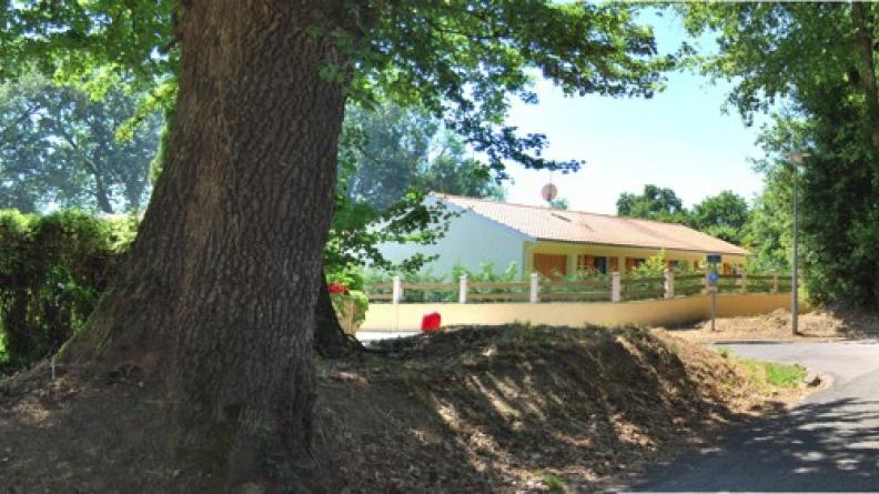 Ce talus planté de beaux arbres préservés confère à la route une grande qualité et accompagne de façon heureuse le quartier pavillonnaire voisin - Lormont