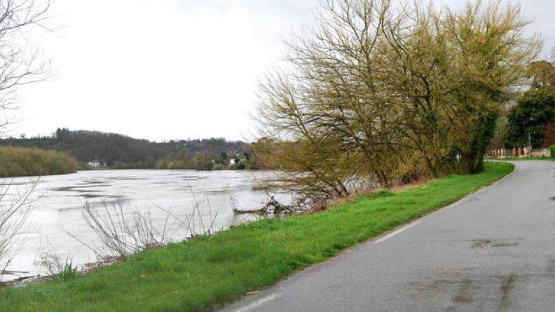 La RD123 passe ici à proximité de la Dordogne, sur sa rive droite : l'alternance de berges boisées et dégagées permet de maintenir une certaine richesse en termes de milieux naturels tout en ouvrant des vues vers le fleuve - Sainte-Terre