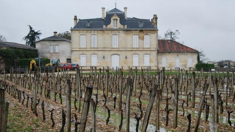 Château Nenin, entouré de ses vignes - Libourne
