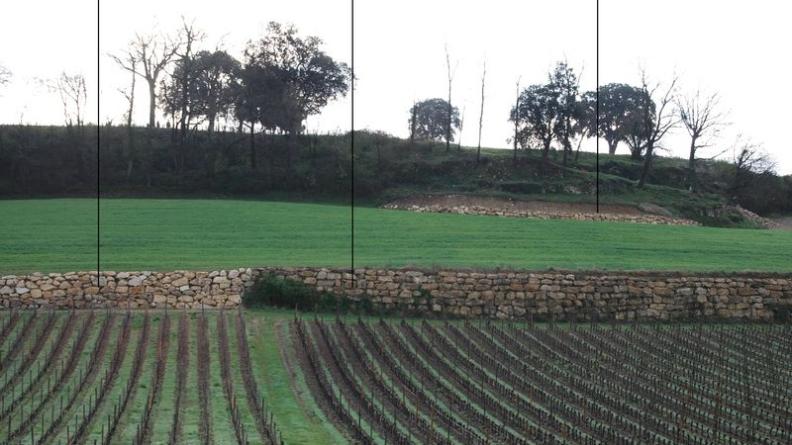 Les murs de soutènement, mis en place sur certains coteaux afin d'optimiser les possibilités de cultures, font partie des éléments majeurs de composition des paysages, exprimant à la fois la nature d'un territoire (ici le calcaire du sous-sol) et les transformations humaines - Saint-Emilion
