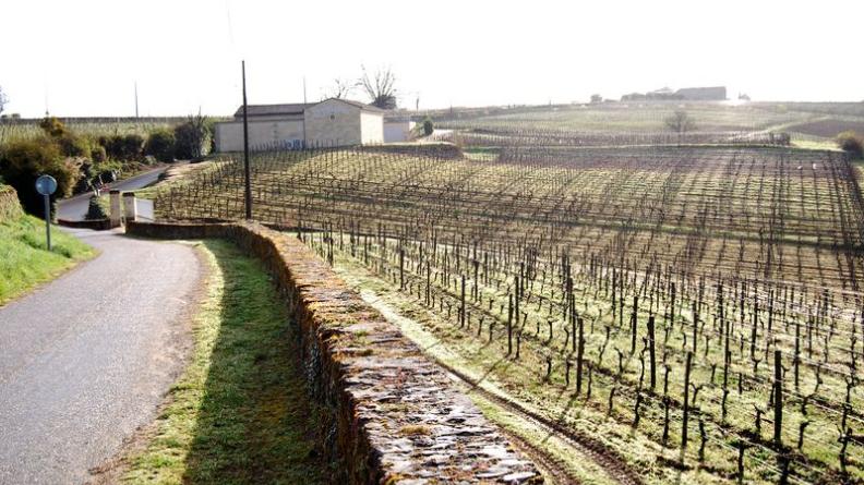Les murets valorisent les bords de routes et les paysages viticoles - Saint-Emilion