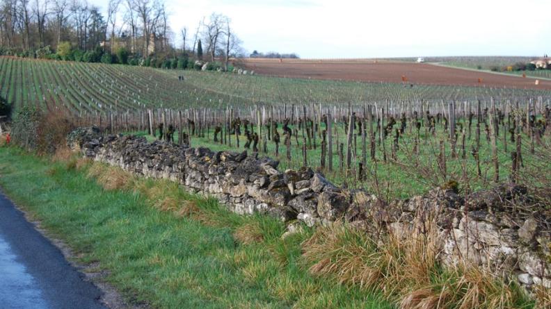 Le bornage des parcelles par des murets de pierre nous a légué un héritage paysager qui mérite d'être préservé - Saint-Laurent-des-Combes