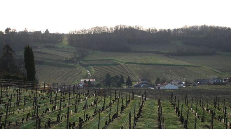 Les terrassements effectués pour optimiser l'utilisation des terres dessinent le paysage des vallons par leurs nombreux talus - Saint-Laurent-des-Combes