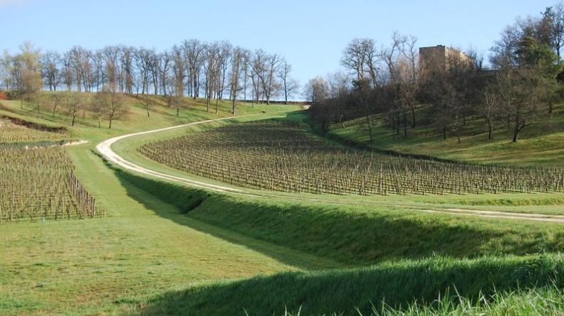 Ces parcelles engravées dans le vallon donnent lieu à une véritable architecture, les pentes étant maintenues par de hauts murs maçonnés - Saint-Christophe-des-Bardes