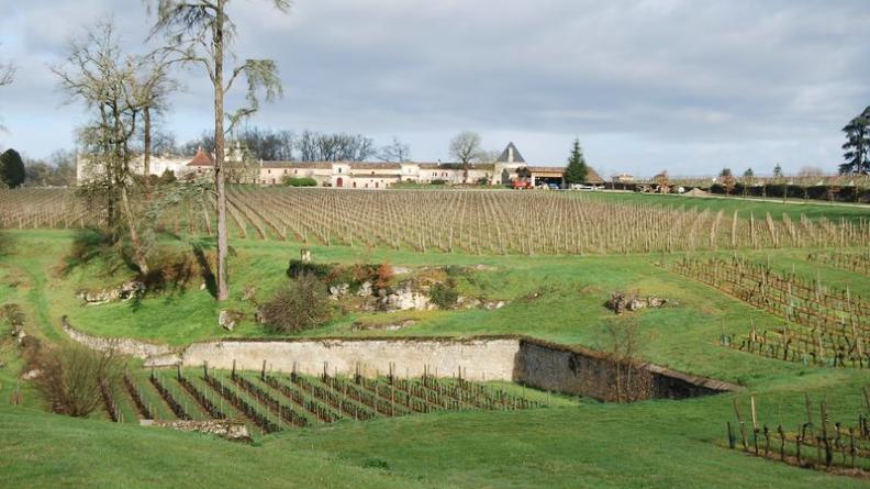 Château Laroque, juché sur les hauteurs du coteau - Saint-Christophe-des-Bardes