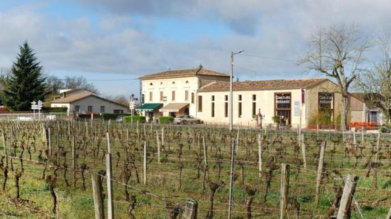 La vigne vient jusqu'au bord des bâtiments - Saint-Genès-de-Castillon