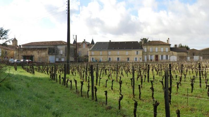 La relation entre bâti et vigne peut faire naître des espaces publics intéressants - Puisseguin