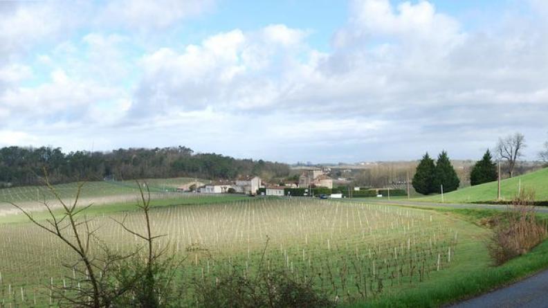 Le château médiéval de Monbadon surplombe ce vallon, où naît un des affluents de la Barbanne - Puisseguin