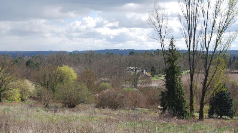 Sur les terrains les moins favorables, comme ce coteau pentu de la Dronne, l'abandon des pratiques agricoles mène à l'apparition de friches - Chamadelle