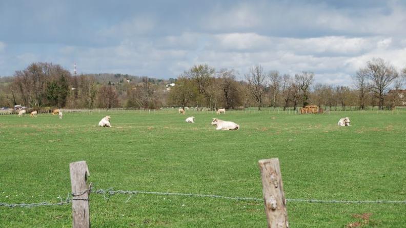 La pratique de la pâture maintien de larges espaces ouverts - Sablons