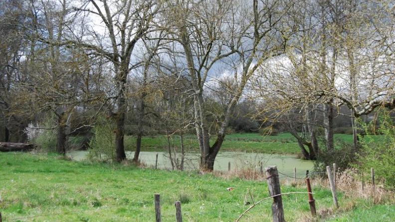 Une petite mare dans la vallée à Sablons