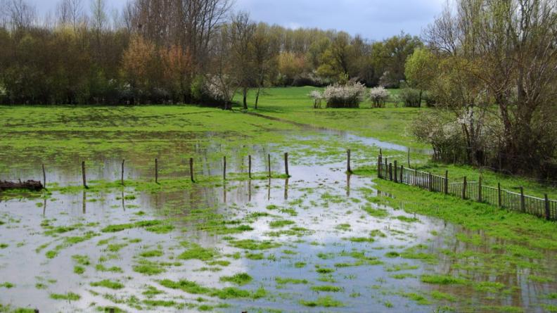 Le maintien de nombreuses prairies dans le fond de la vallée de l'Isle permet d'assurer aux eaux de la rivière un champ d'expansion important et donc de réguler ses crues - Bonzac