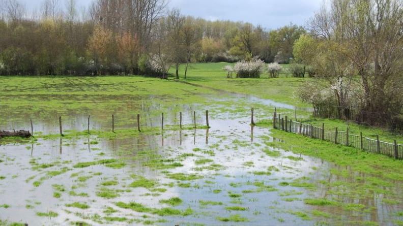 Les fortes pluies révèlent parfois l'ampleur du lit majeur de l'Isle - Bonzac