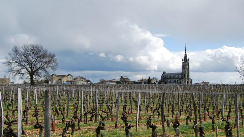 Le hameau de Trochau, encadré par la silhouette de son église et celle d'un arbre solitaire au premier plan - Pomerol