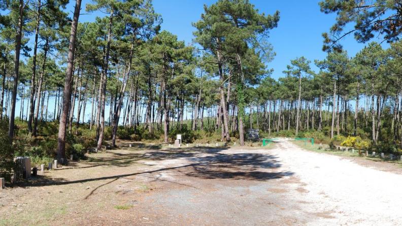 De petites poches de stationnement liées aux cheminements tracés dans les sous-bois minimisent les points de nuisances dus aux voitures - Lacanau