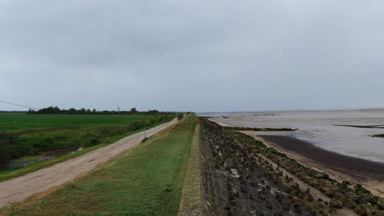 Face aux risques de montée des eaux et de multiplication des tempêtes se pose la question de la gestion et du maintien des digues de l'estuaire : les terres des palus, gagnées sur la mer, pourront-elles et doivent-elles être maintenues en cultures ? Le recul des digues, voire leur abandon pur et simple, afin de constituer une zone « tampon » est fortement envisagé dans des secteurs où les risques vis-à-vis des personnes n'est pas premier - Saint-Vivien-de-Médoc