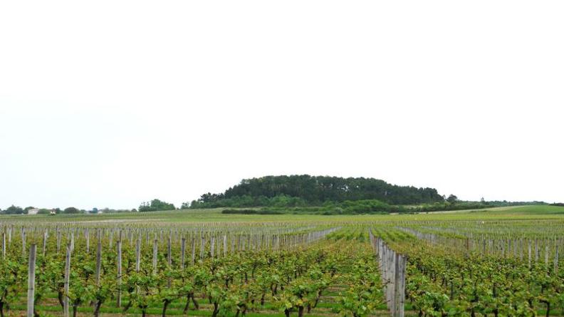 Atlas des paysages - Civrac-en-Médoc