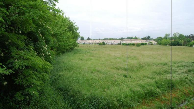 Prairie préservée entre l'urbanisation de Villenave-d'Ornon et le ruisseau de l'Eau Blanche.