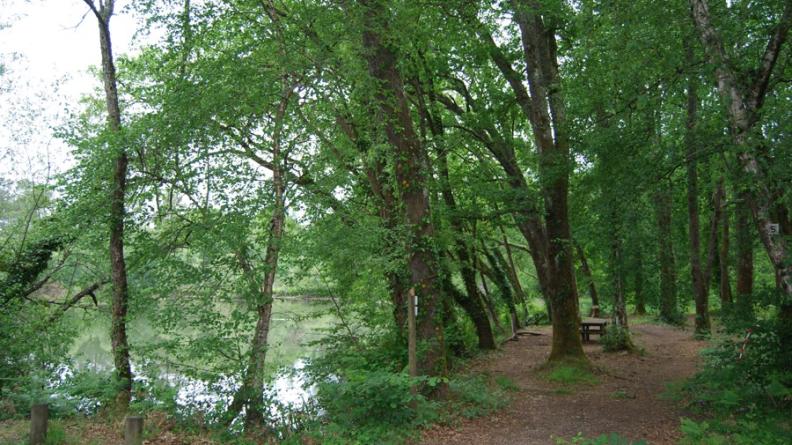 Les anciennes carrières de lignite d'Hostens composent aujourd'hui une base de loisirs organisée autour des vastes lacs, l'un étant dédié à la baignade, un autre à la pêche et l'ornithologie... Des circuits pédestres ou cyclistes complètent cet aménagement.