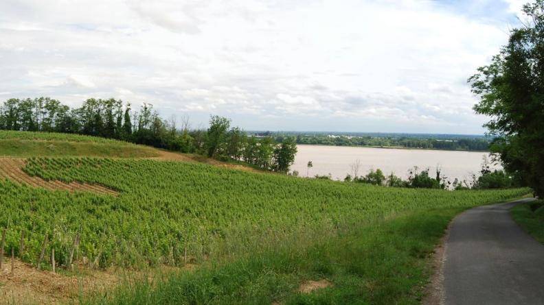 L'estuaire se révèle en descendant vers la RD669E1 - Saint-Seurin-de-Bourg
