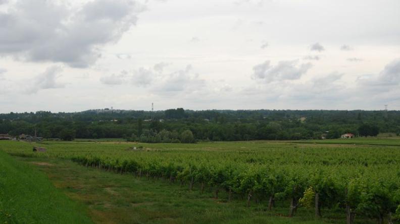 Les boisements du vallon de la Virvée - Saint-Romain-la-Virvée