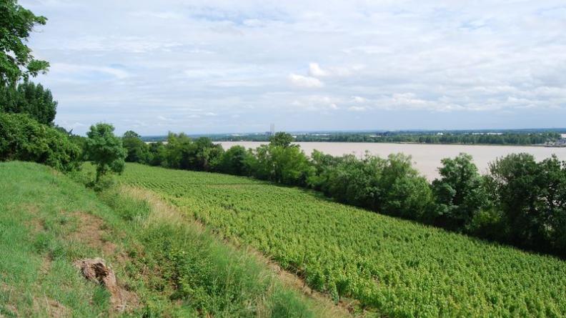 La corniche de Gironde domine majestueusement le Bec d'Ambès et l'estuaire - Bayon-sur-Gironde