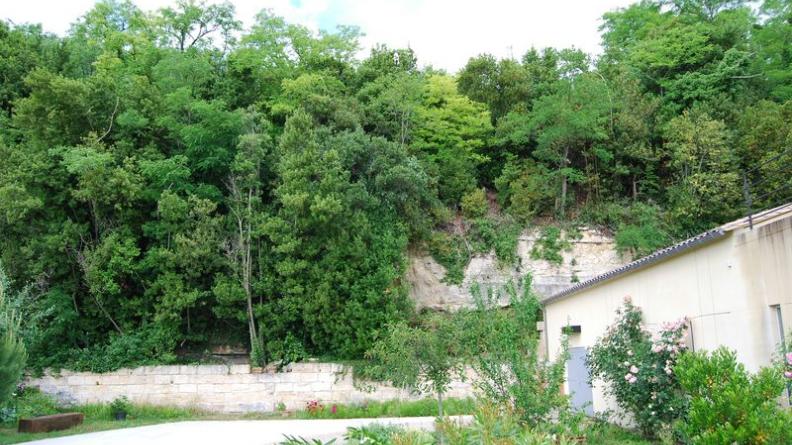 Le développement de la végétation a occulté la falaise calcaire elle-même - Bayon-sur-Gironde