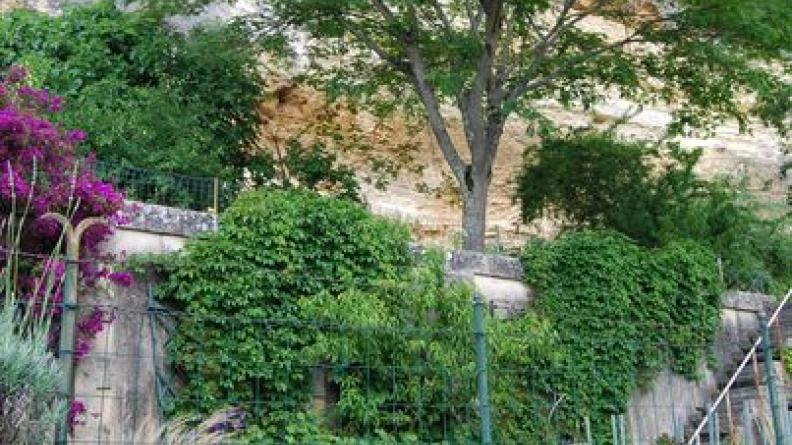 Des terrasses jardinées s'étagent au bas du coteau calcaire - Gauriac
