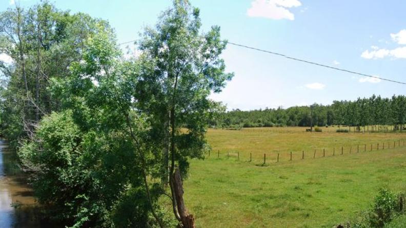 Plaine pâturée dans la vallée de la Saye - Périssac