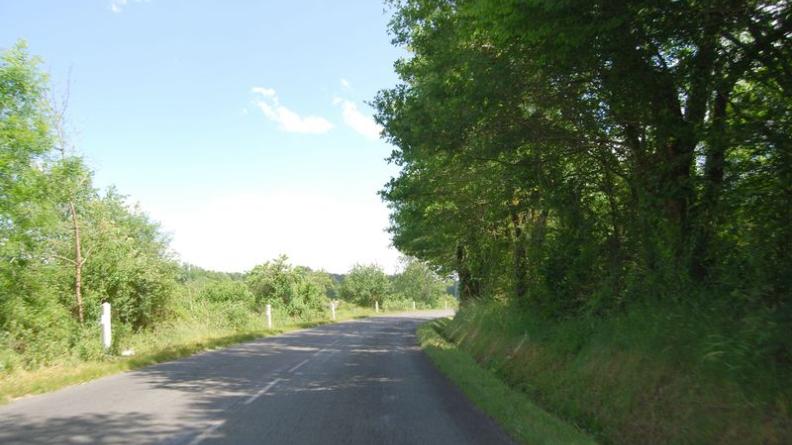 Route ombragée par une haie arborée - Périssac