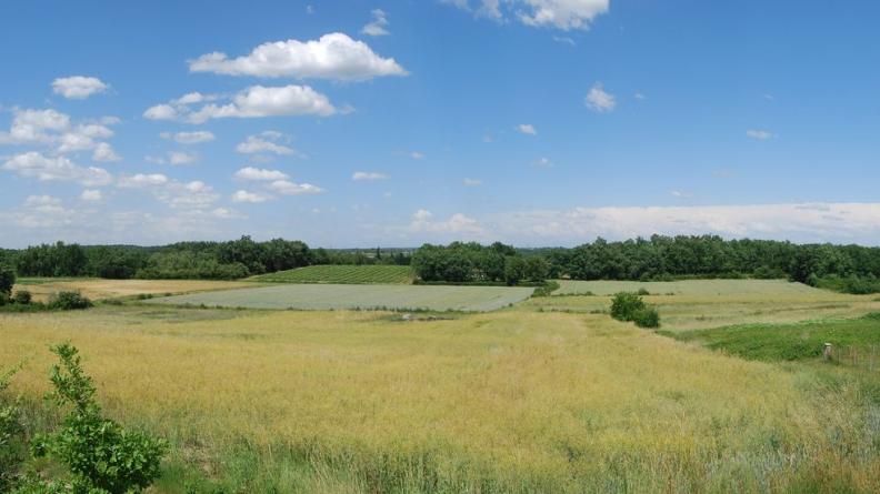 Paysage composé de cultures et boisements dans un vallon - Vérac
