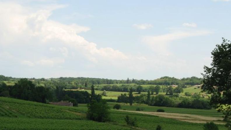 Les structures boisées dessinent un paysage riche - Vérac