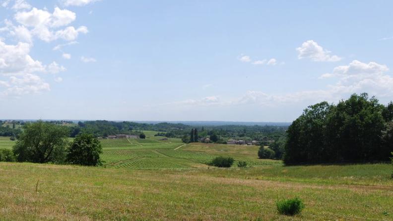 Vallon composé de vignes et boisements - Vérac