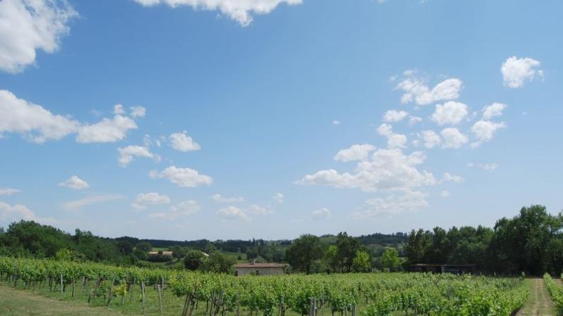 Vallon boisé à l'est de Vérac