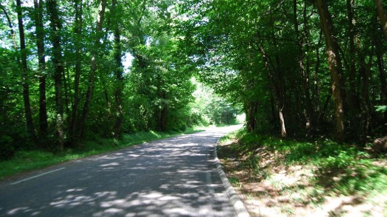 Le fond des vallons peut présenter des ambiances franchement forestières - Villegouge