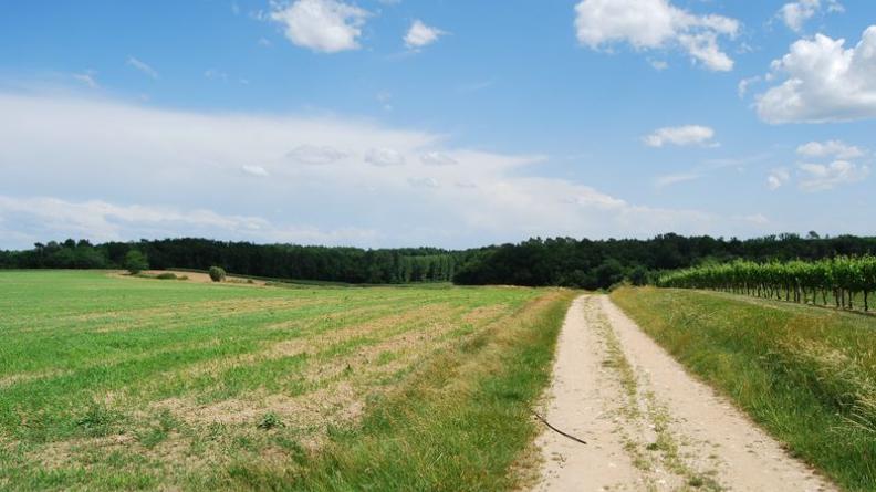La Moulinasse est bordée d'une ripisylve touffue et de quelques prairies - Galgon