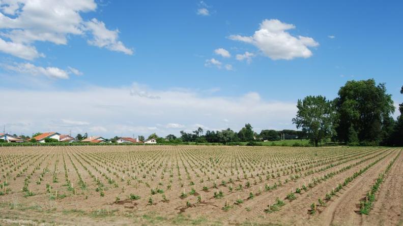 De trop rares terres cultivées préservent quelques ouvertures - Libourne