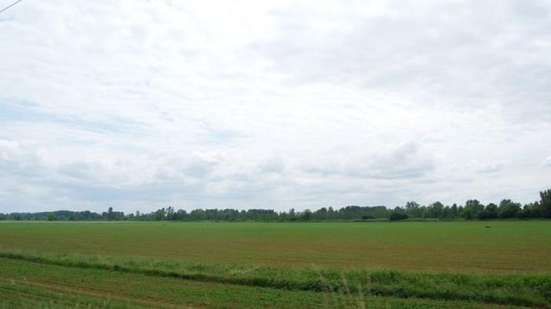 La ripisylve de la Garonne délimite les horizons cultivés du fond de vallée - Loupiac