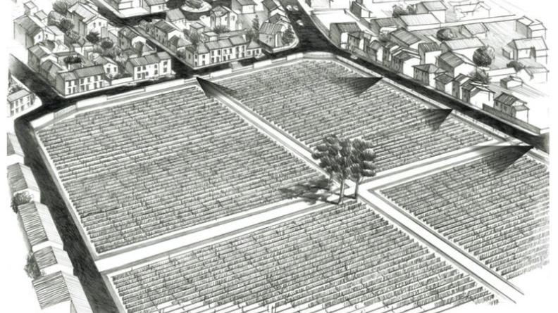 La présence de la vigne en milieu urbain peut être hautement valorisante pour les espaces publics.