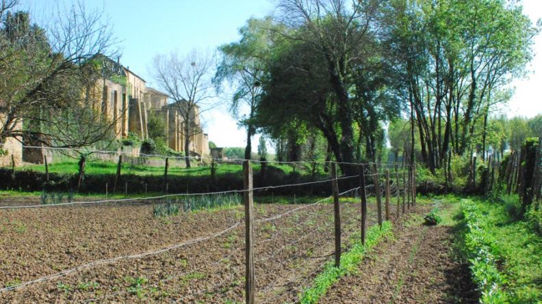 Au pied des remparts de Saint-Macaire, la commune a acquis des terrains aujourd'hui occupés par des jardins familiaux.