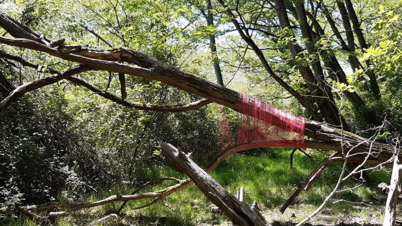 photos Landart