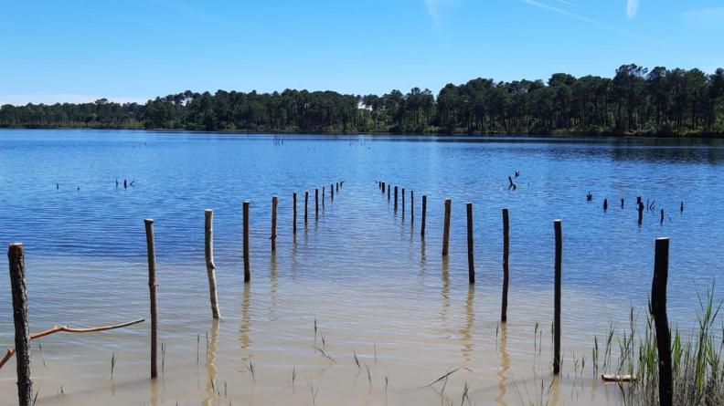 photos Landart