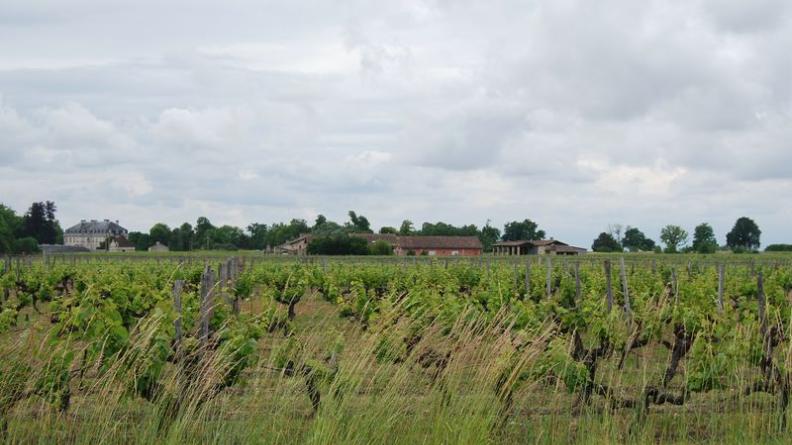 La ferme et le château du Bouilh constituent un ensemble de grande qualité - Saint-André-de-Cubzac