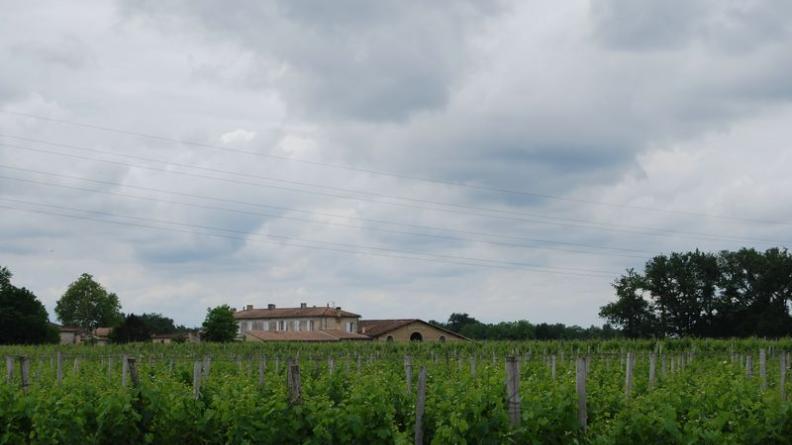 Ferme et chais dans la vigne - Virsac