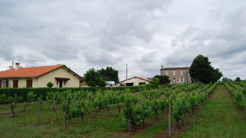 Atlas des paysages - Prignac-et-Marcamps